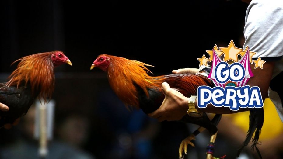 xo jili casino login jili casino free 100 pesos no deposit bonus